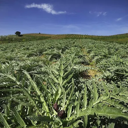 Cascina Al Colle * Populonia