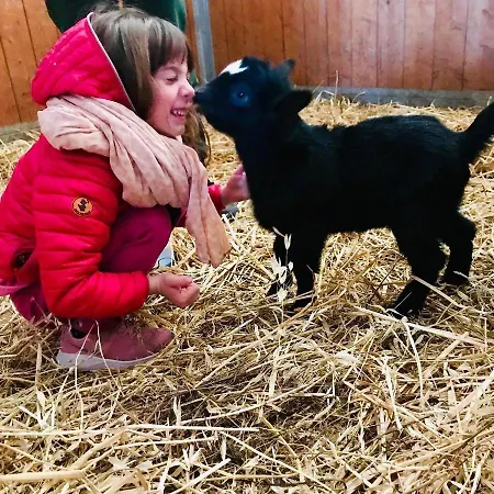Cascina Al Colle Séjour à la ferme Populonia